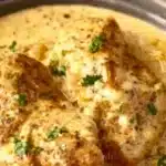 Crock Pot Angel Chicken crock pot angel chicken 2025 11 09 001549 150x150 1