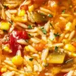 Vegetable Orzo Soup vegetable orzo soup 2025 12 21 025024 150x150 1